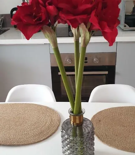 Les 3 Tours 2 Appartement Carcassonne